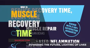 Understanding Muscle Recovery: How Long Does It Take?