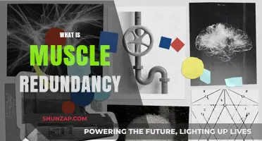 Understanding Muscle Redundancy: How It Affects Your Training