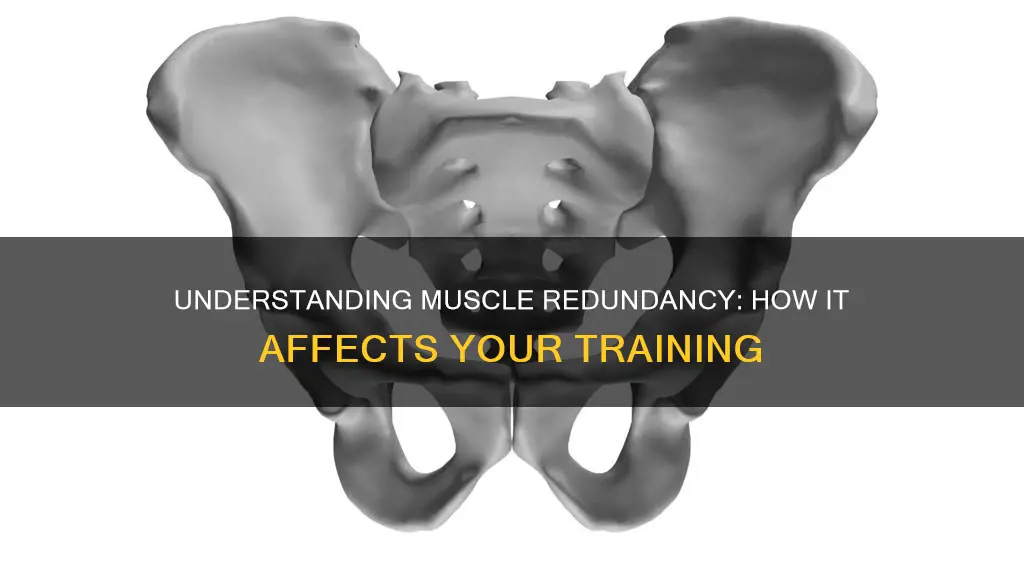 what is muscle redundancy