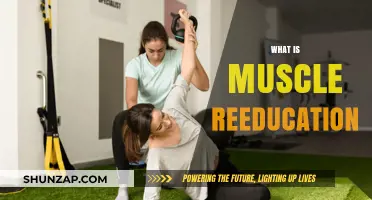 Muscle Reeducation: What It Is and Why You Need It