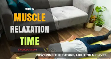 Understanding Muscle Relaxation Time: Benefits, Techniques, and Recovery Insights