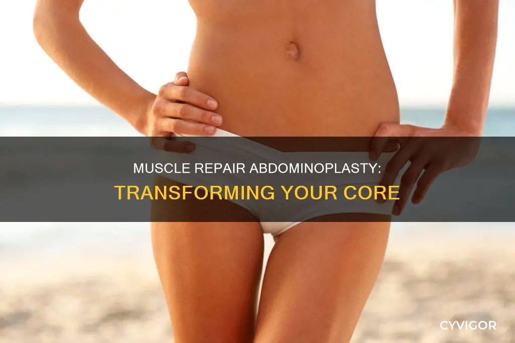 what is muscle repair abdominoplasty