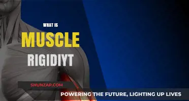 Understanding Muscle Rigidity: Causes and Treatment Options