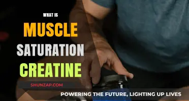 Creatine Muscle Saturation: The Ultimate Guide