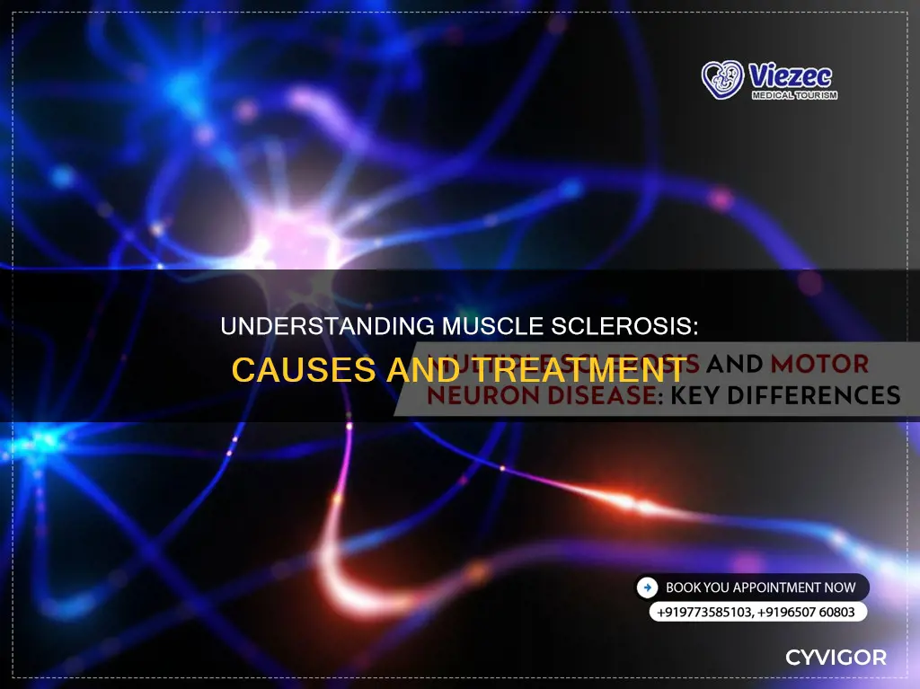 what is muscle sclerosis