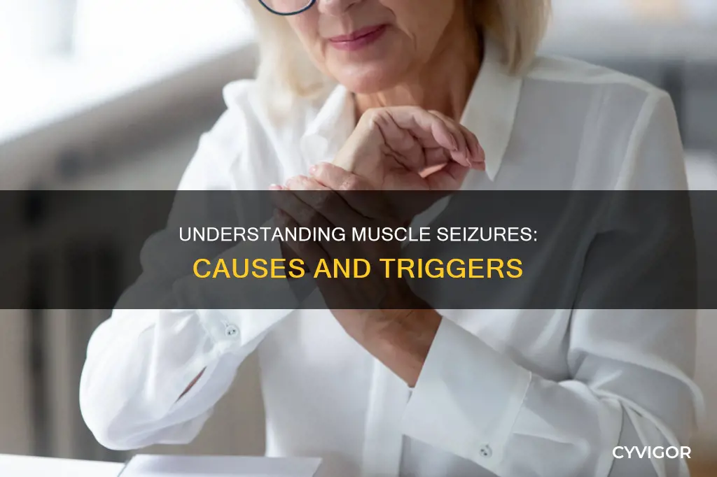 what is muscle seizure