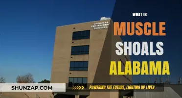 The Musical History of Muscle Shoals, Alabama