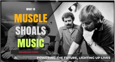 Muscle Shoals Music: The Sound of Soul