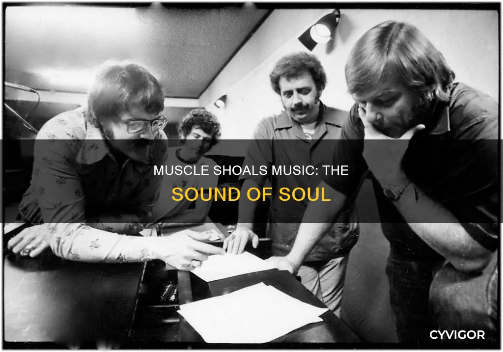 what is muscle shoals music