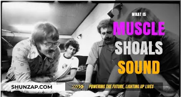 Muscle Shoals Sound: The Southern Soul of Music