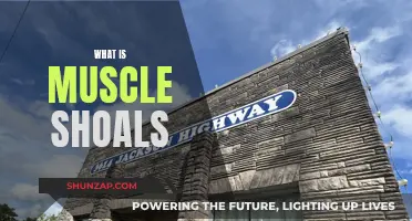 Muscle Shoals: Alabama's Music Mecca