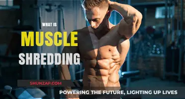 How to Achieve Muscle Shredding: Ultimate Guide