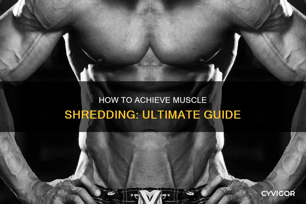 what is muscle shredding
