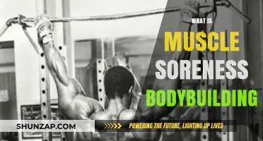 Understanding Muscle Soreness in Bodybuilding