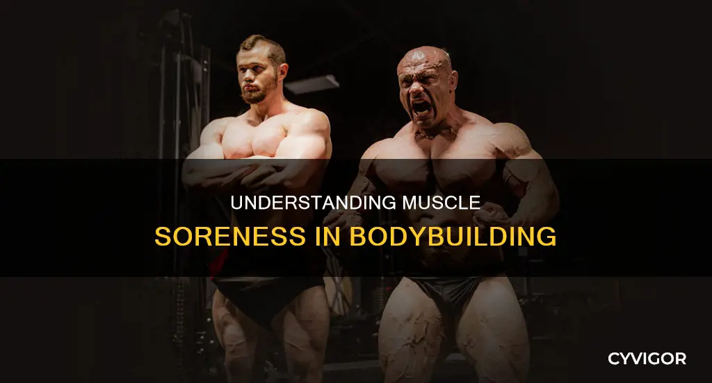 what is muscle soreness bodybuilding