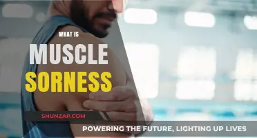 Understanding Muscle Soreness: Causes, Recovery, and Prevention Tips