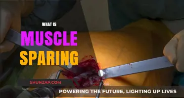 Unlocking Muscle Sparing Techniques for Effective Body Transformations