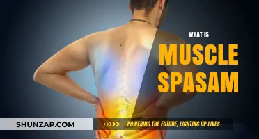 Understanding Muscle Spasms: Causes, Triggers, and Treatment