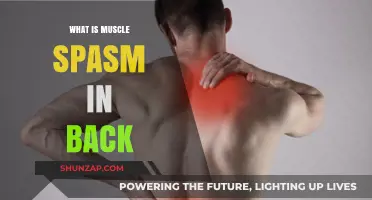 Understanding and Alleviating Muscle Spasms in Your Back