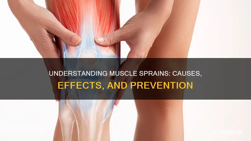 what is muscle sprian