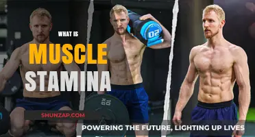 How to Increase Muscle Stamina for Long-Lasting Performance