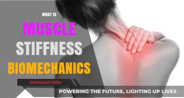 Understanding Muscle Stiffness: Biomechanics and Movement