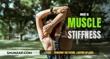 Understanding Muscle Stiffness: Causes and Treatment Options