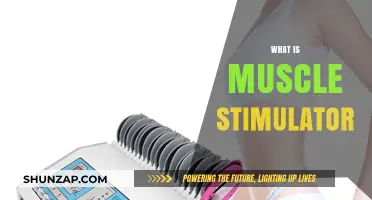 Muscle Stimulation: Electric Therapy for Fitness and Health