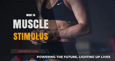 Stimulating Muscles: The Science Behind Muscle Growth