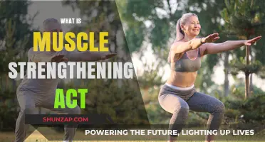 Muscle Strengthening: The Key to a Stronger You