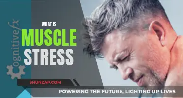 Understanding Muscle Stress: Causes and Effects