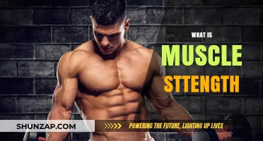 Understanding Muscle Strength: The Power Within