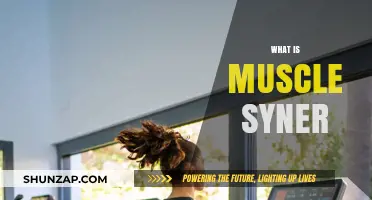 Understanding Muscle Synergies and Their Role in Movement