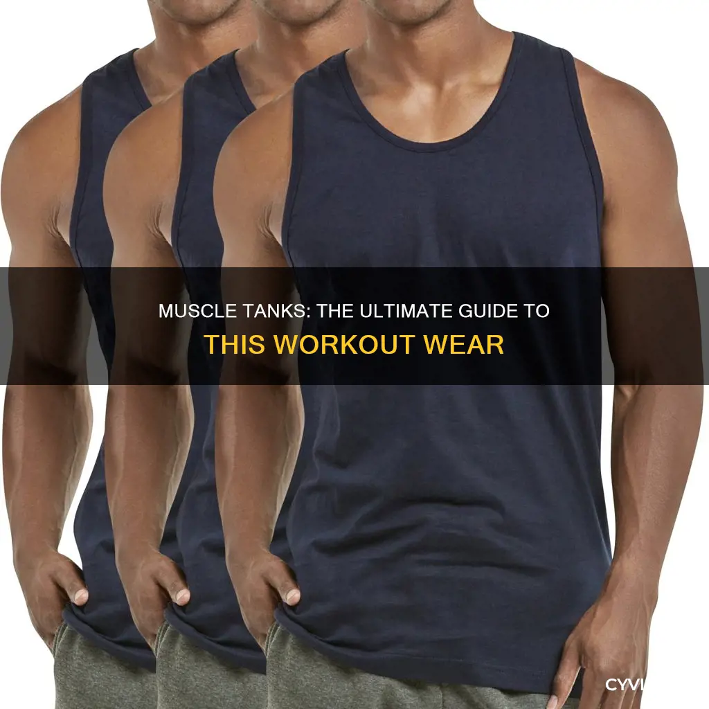 what is muscle tank