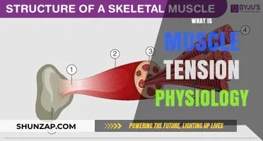 Understanding Muscle Tension: The Physiology Behind It