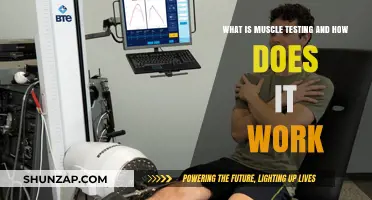 Understanding Muscle Testing: Techniques, Benefits, and How It Works