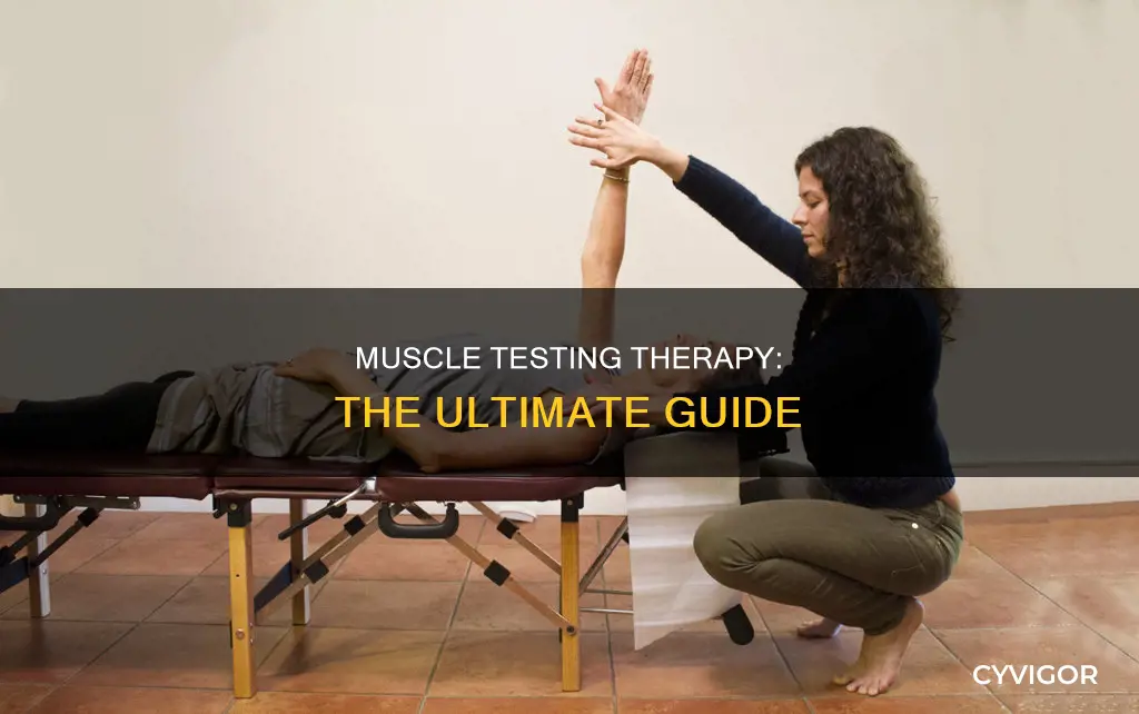 what is muscle testing therapy