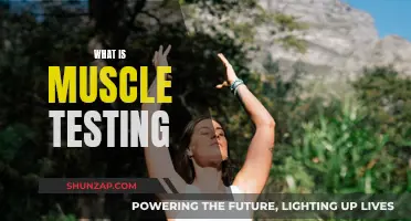 Muscle Testing: A Powerful Tool for Health and Wellness