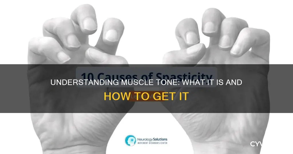 what is muscle tome