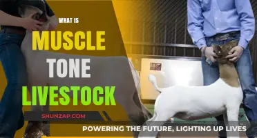 Understanding Muscle Tone in Livestock