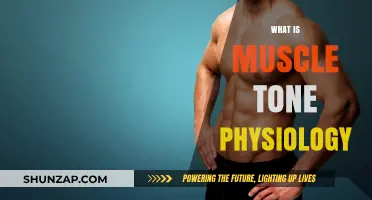 Understanding Muscle Tone: Physiology Fundamentals