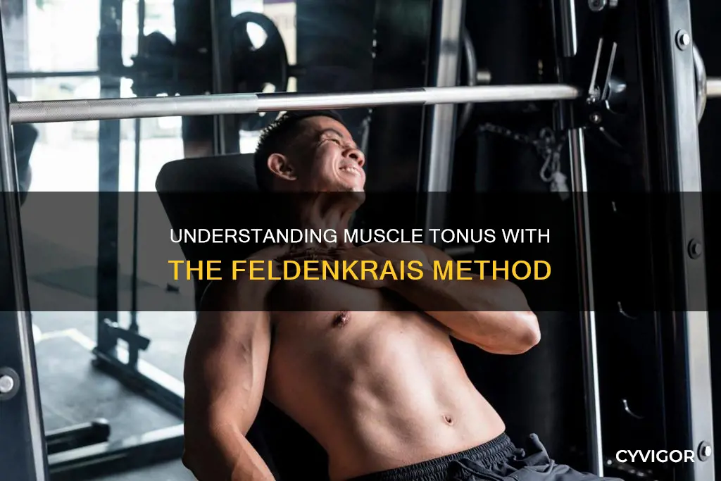 what is muscle tonus feldenkrais