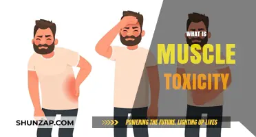 Understanding Muscle Toxicity: Causes and Effects