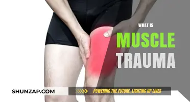 Understanding Muscle Trauma and Its Impact