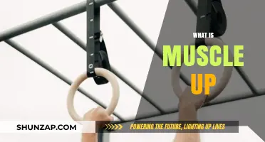 Mastering the Muscle Up: A Beginner's Guide