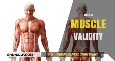 Muscle Validity: Understanding the Science of Muscle Function
