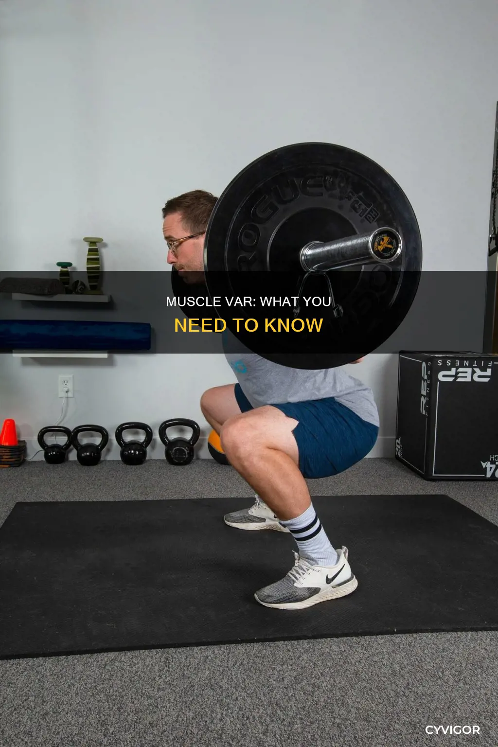 what is muscle var