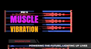 Muscle Vibration: Unseen Power Behind Every Movement