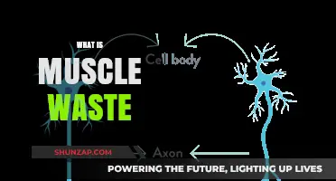 Muscle Wasting: Understanding the Loss of Muscle Mass
