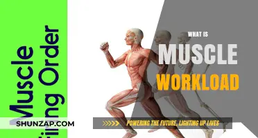 Understanding Muscle Workload: The Science of Muscle Fatigue